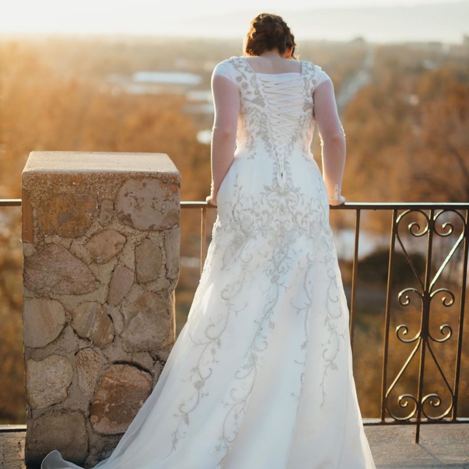 Bridal Gown Back Detail