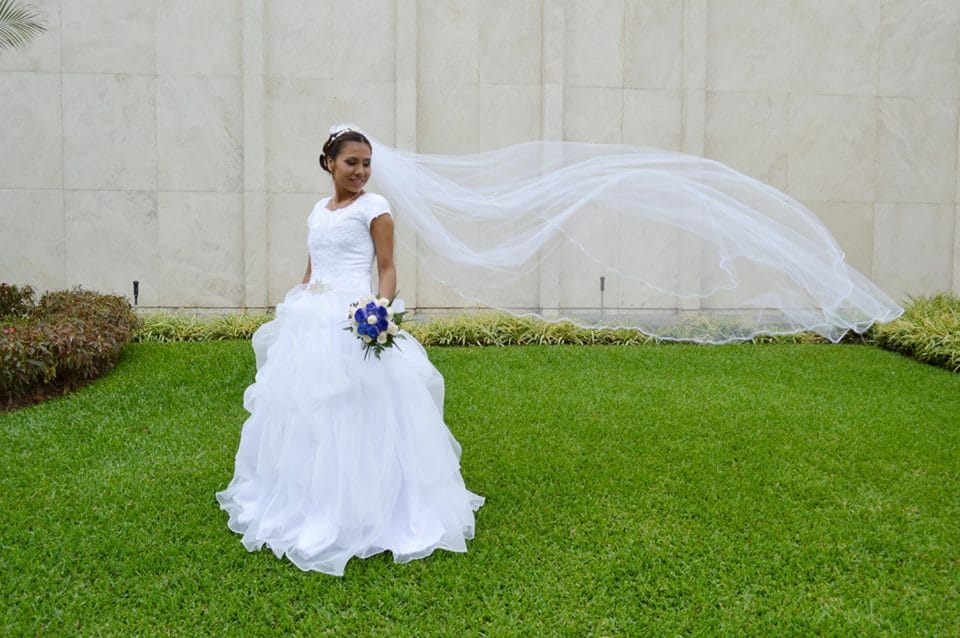Long Bridal Veil